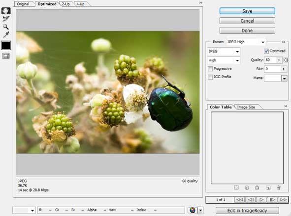 Сохранить для WEB в Photoshop Если бы не Сеть в Фотомагазине