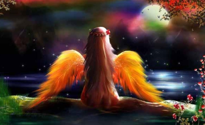 Imagen